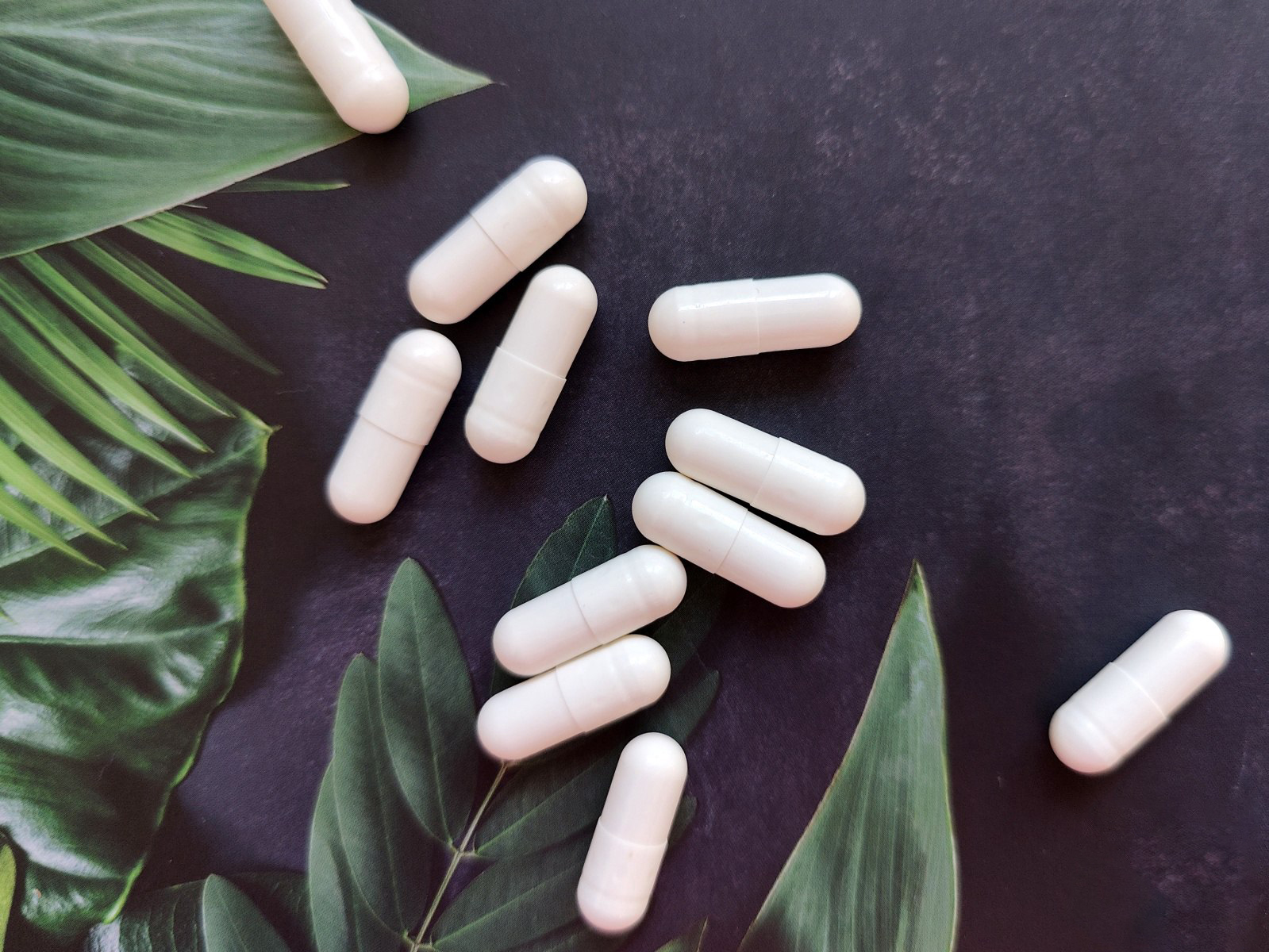 Extractos naturales y componentes botánicos